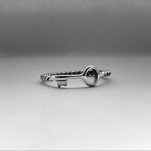 Sterling silver key ring with twist band, key ring, silver key ring, dainty ring - Picture 2 of 8